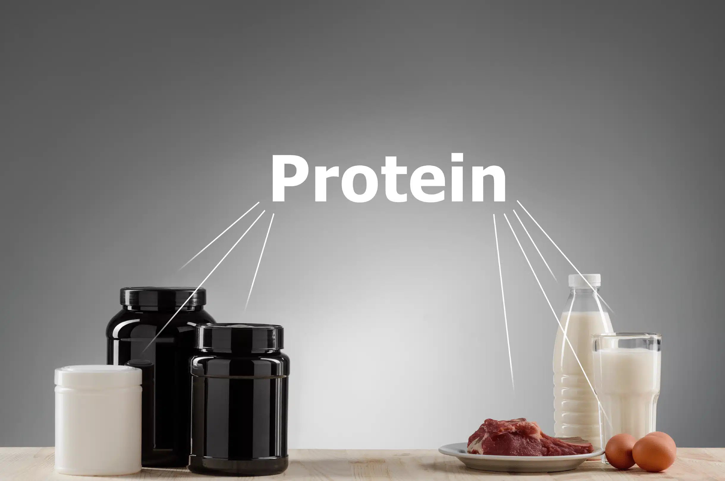 Quelle est la composition des protéines de musculation ?